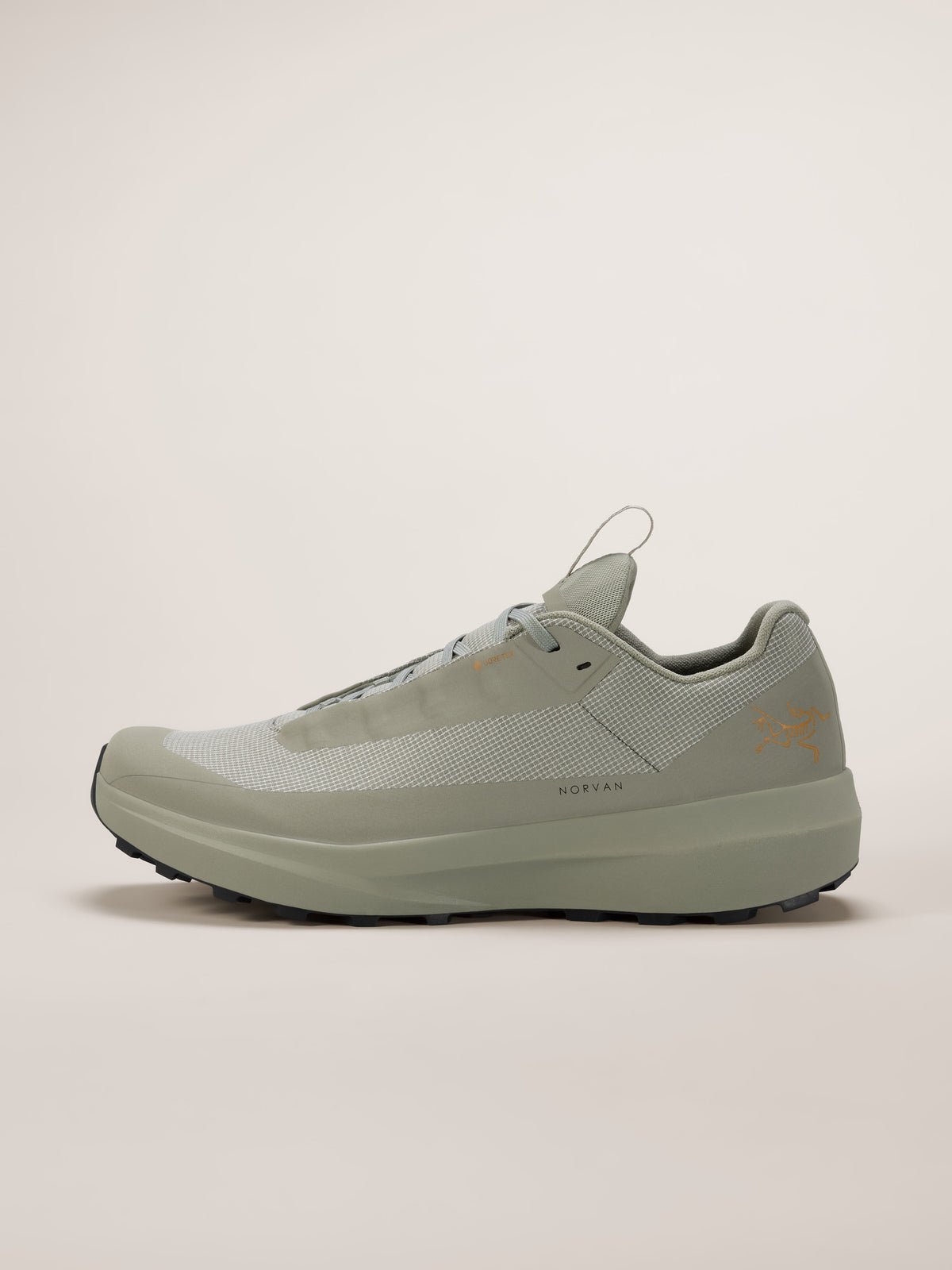 Arc'teryx Norvan LD 4 GTX Shoe Men's product view 1 — Habitat/Habitat