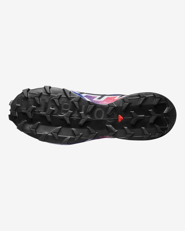 Salomon  Speedcross 6 GORE-TEX Equipe