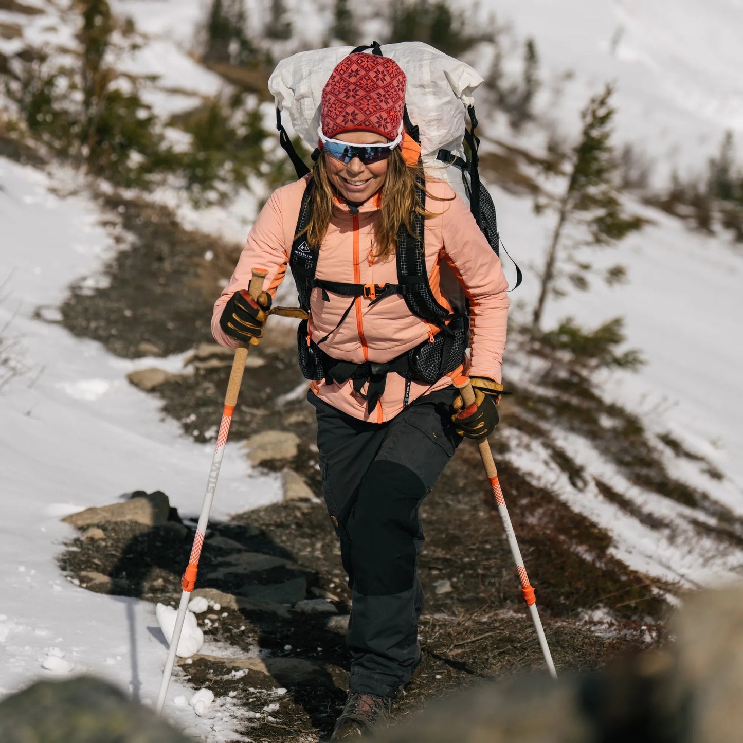 Silva Trekking poles all season alpine alu tele