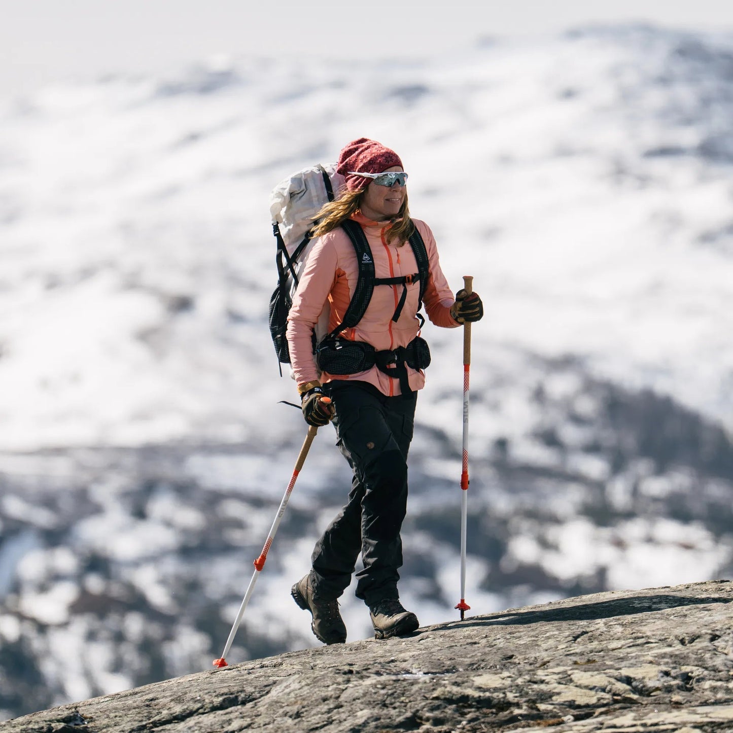 Silva Trekking poles all season alpine alu tele