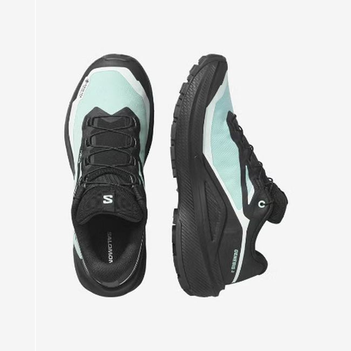 Salomon Genesis 2 GORE-TEX Women - top or pair view - Silver