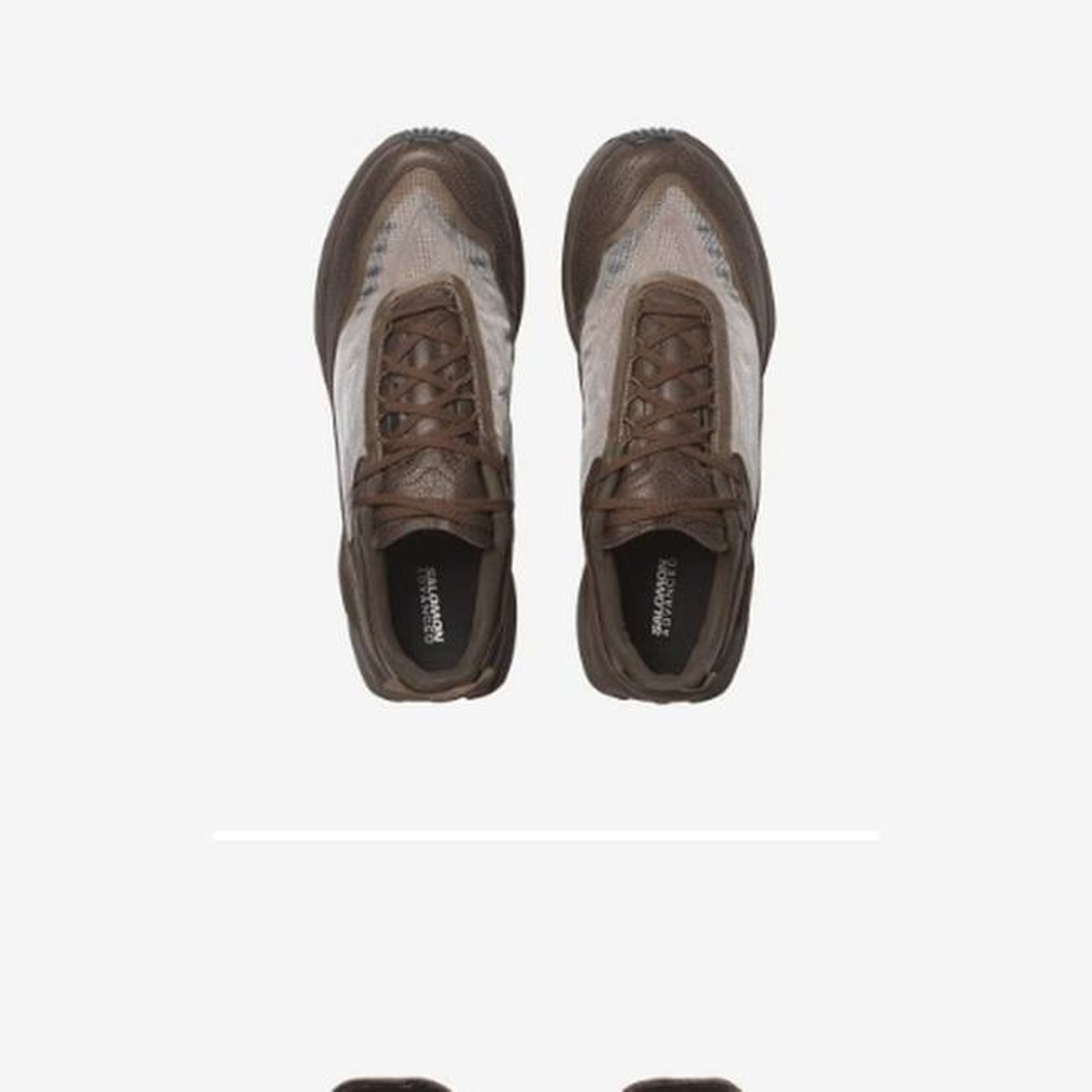 Salomon Neuva Advanced - alternate angle - Brown