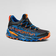 Electric Blue/Tiger