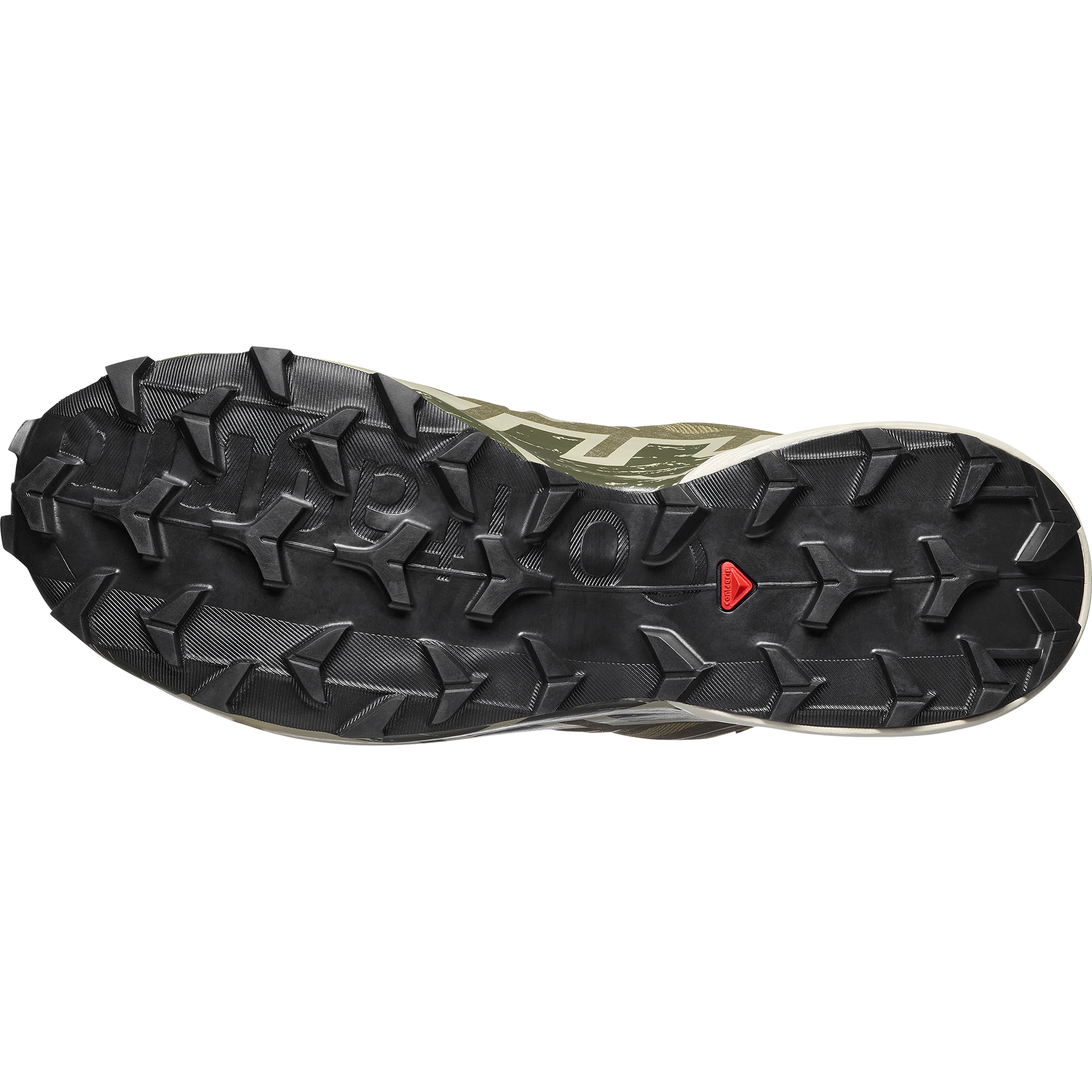 Salomon Speedcross 6 GORE-TEX Men product view 6 — Aloe / Aspargus Green / Grape Leaf
