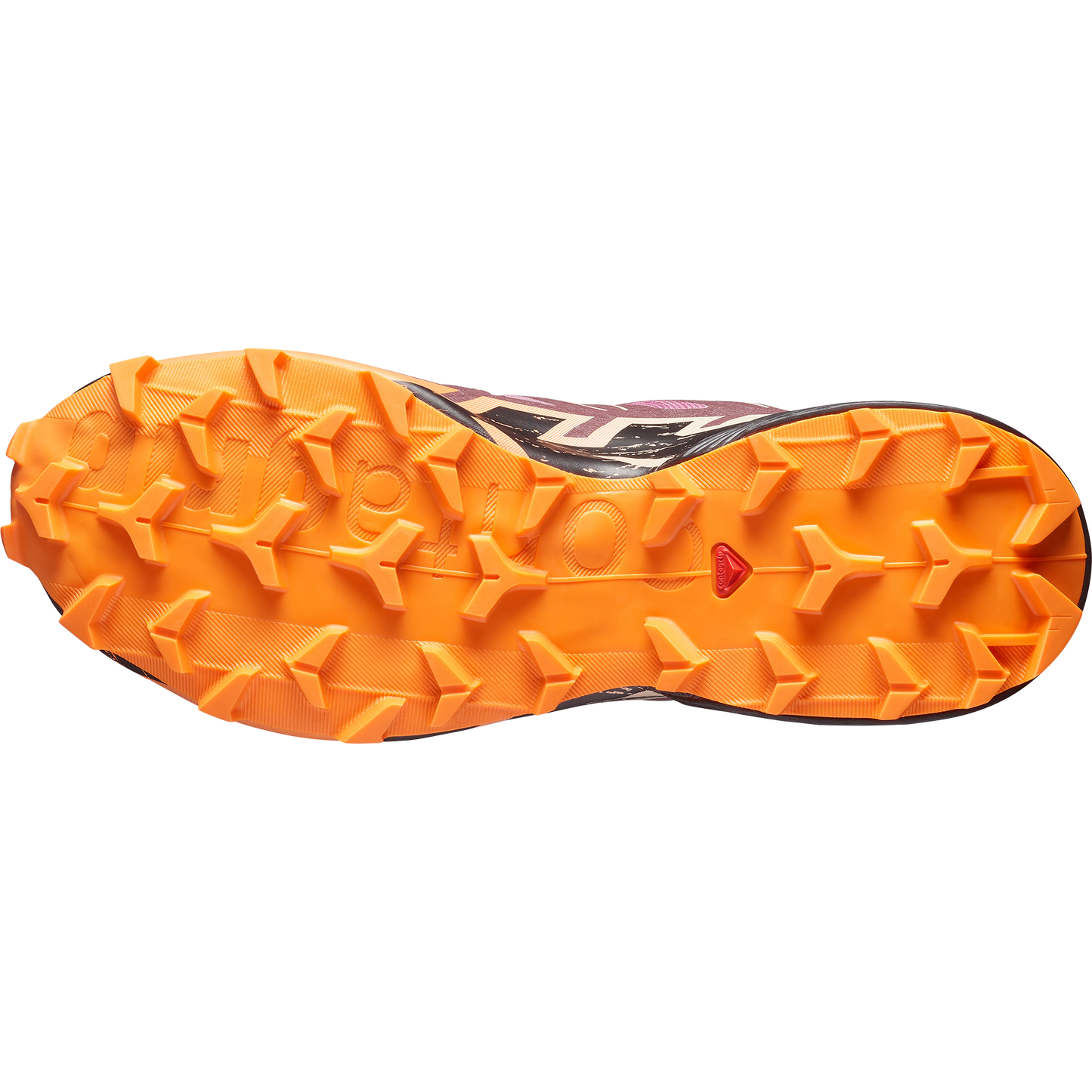 Salomon Speedcross 6 GORE-TEX Women product view 6 — Dusky Orchid / Huckleberry / Nectarine