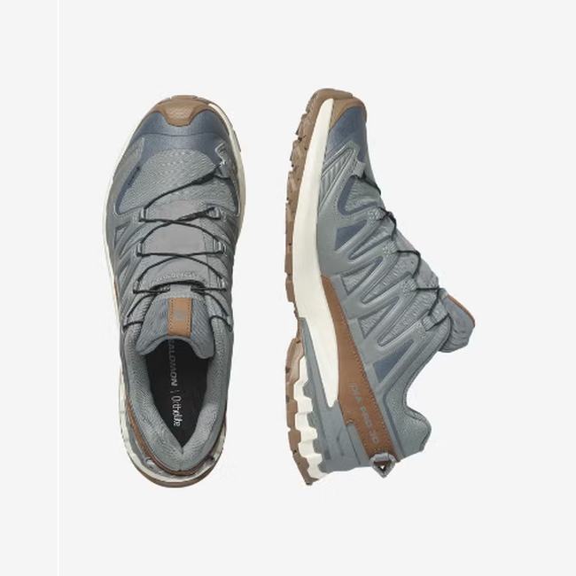 Salomon XA Pro 3D V9 GORE-TEX Lifelong Men - Brown - top or pair view