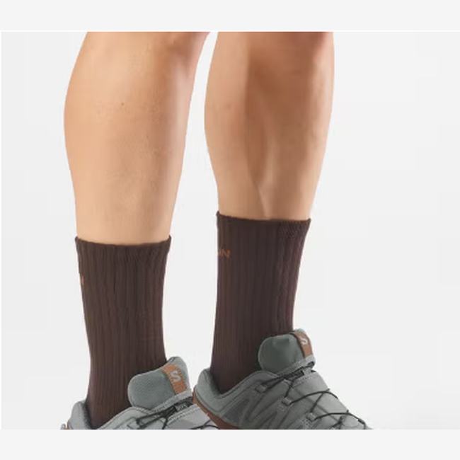 Salomon XA Pro 3D V9 GORE-TEX Lifelong Men - Brown - rear or lifestyle view